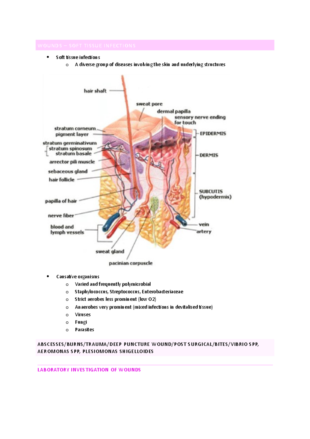 Soft Tissue Infection Information - WOUNDS – SOFT TISSUE INFECTIONS ...