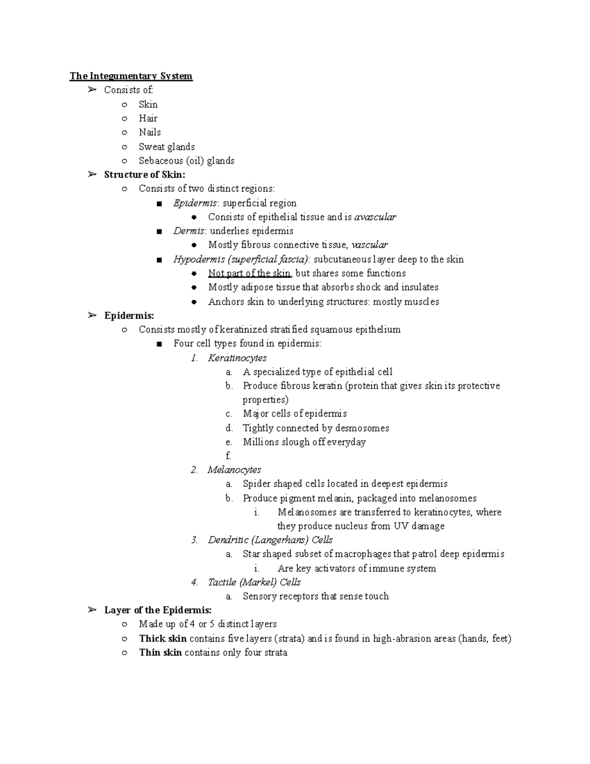 BLG101 Lect 4 Notes - The Integumentary System Consists of: Skin Hair ...