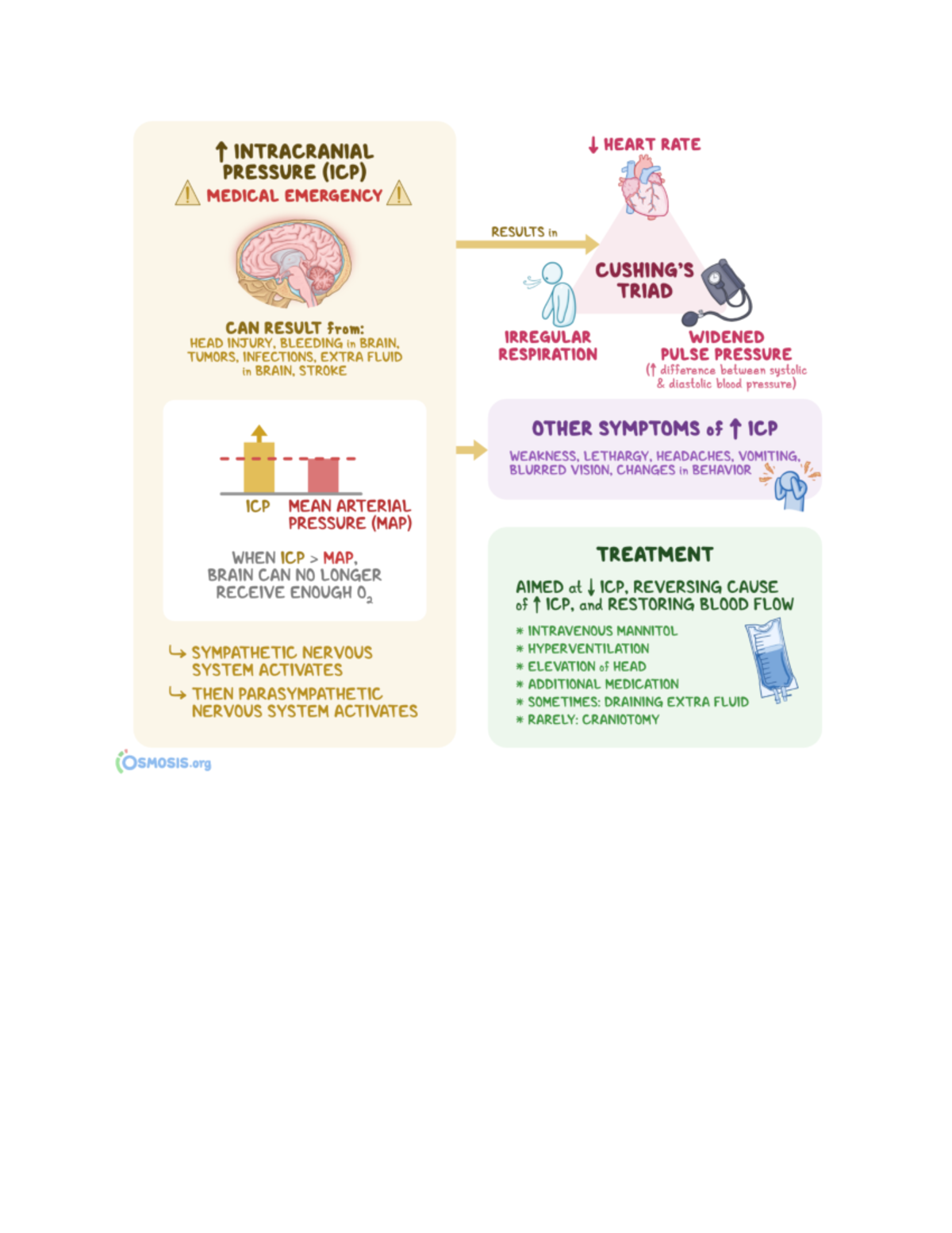 Cushing's Triad NRS 450 Studocu