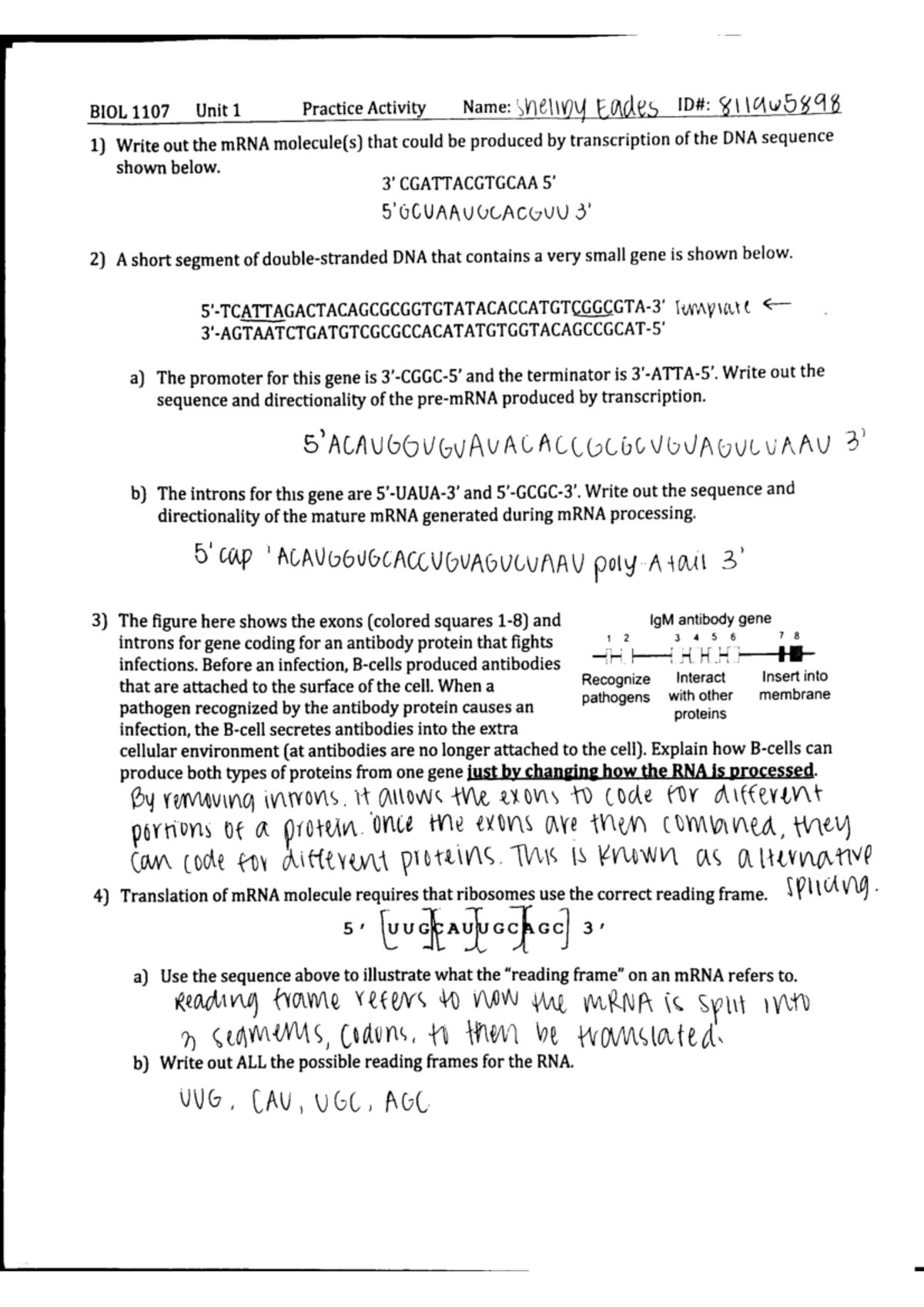 unit-1-practice-assignments-biol-1107-studocu