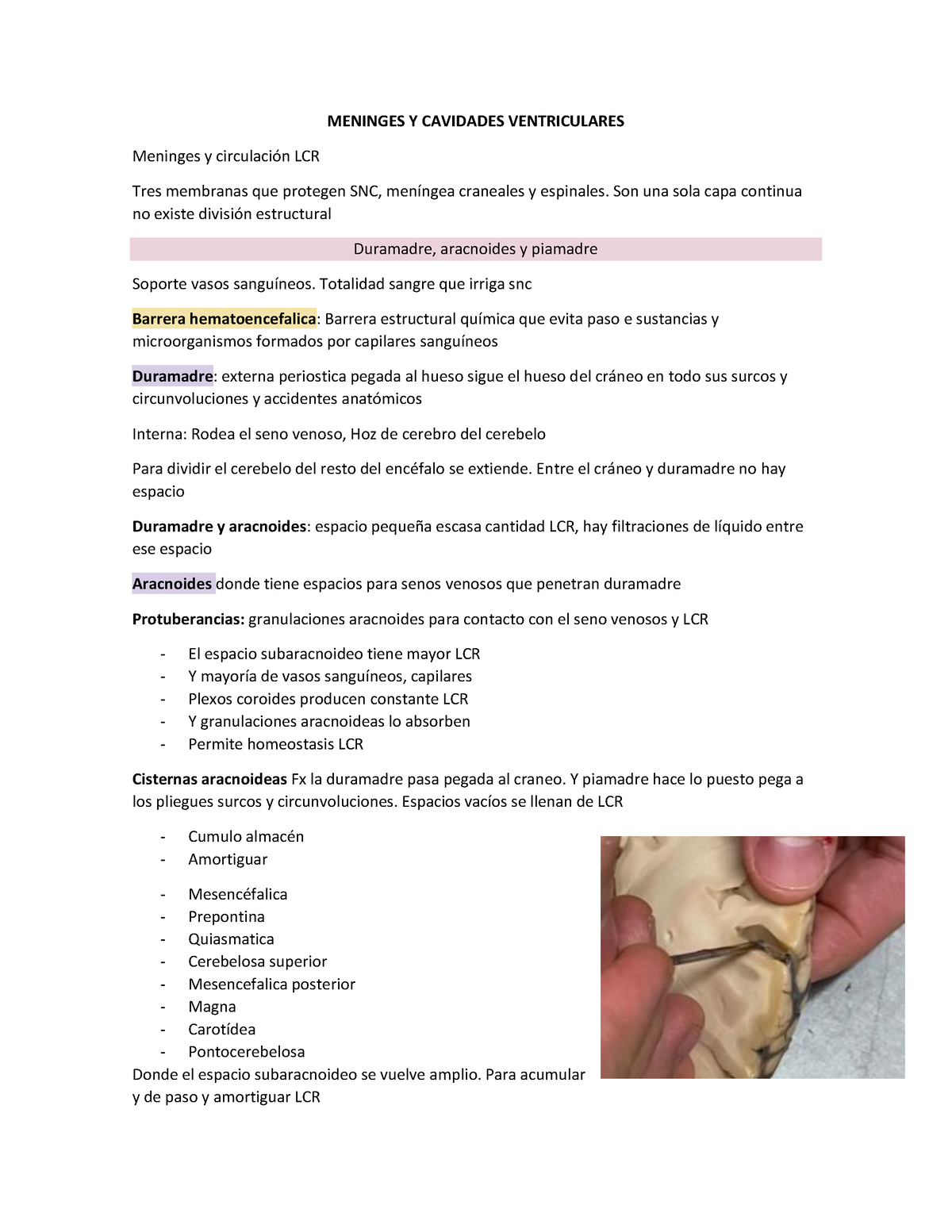 histología de las granulaciones aracnoideas