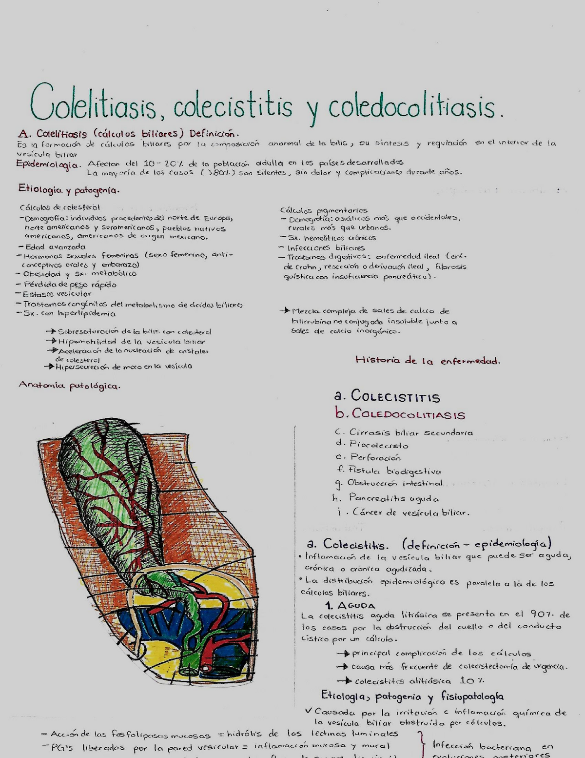 coledocolitiasis vs colelitiasis