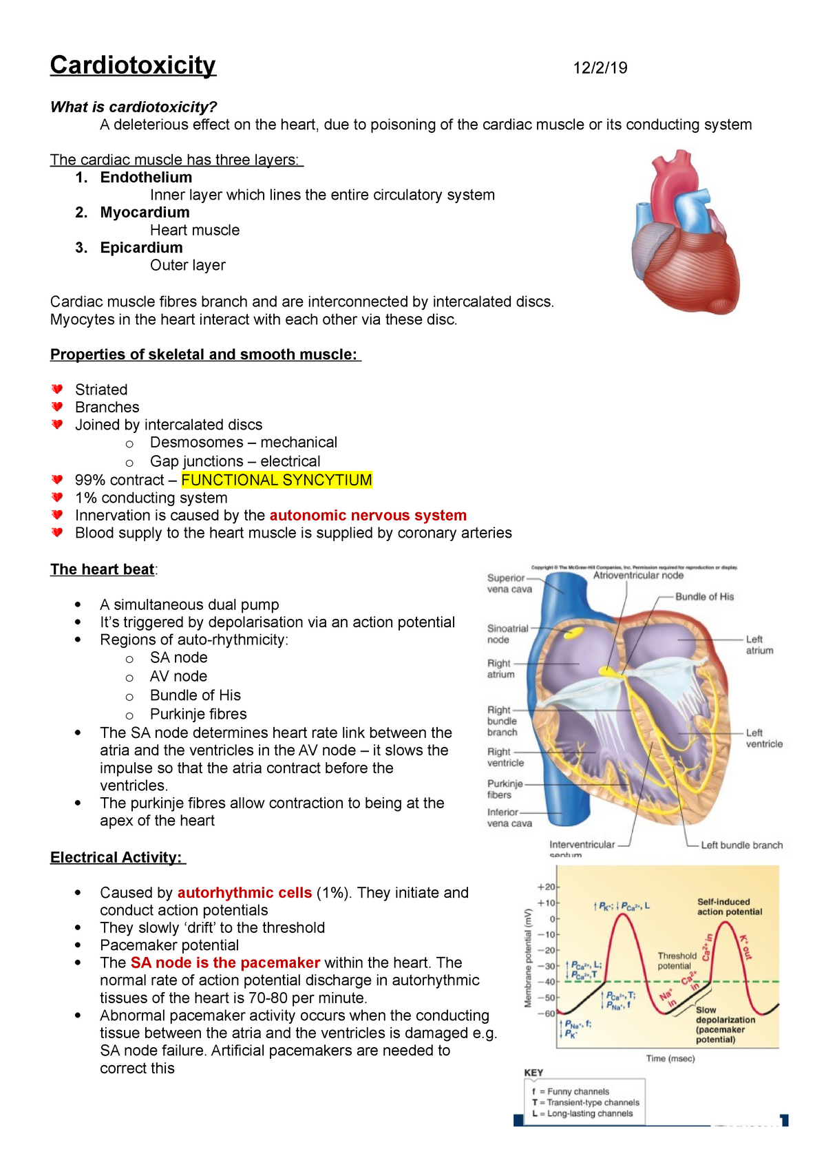 cardiotoxicity-what-is-cardiotoxicity-a-deleterious-effect-on-the