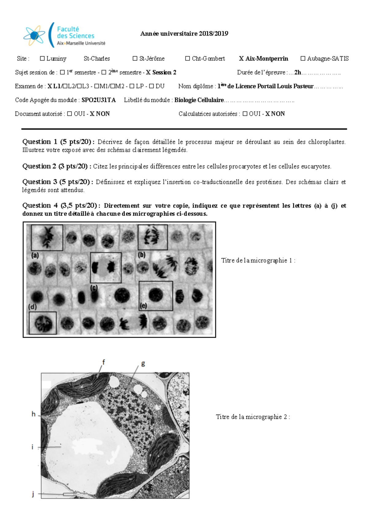 Biocell 2019 - Avec Correction - Année Universitaire 2018/ Site : O ...