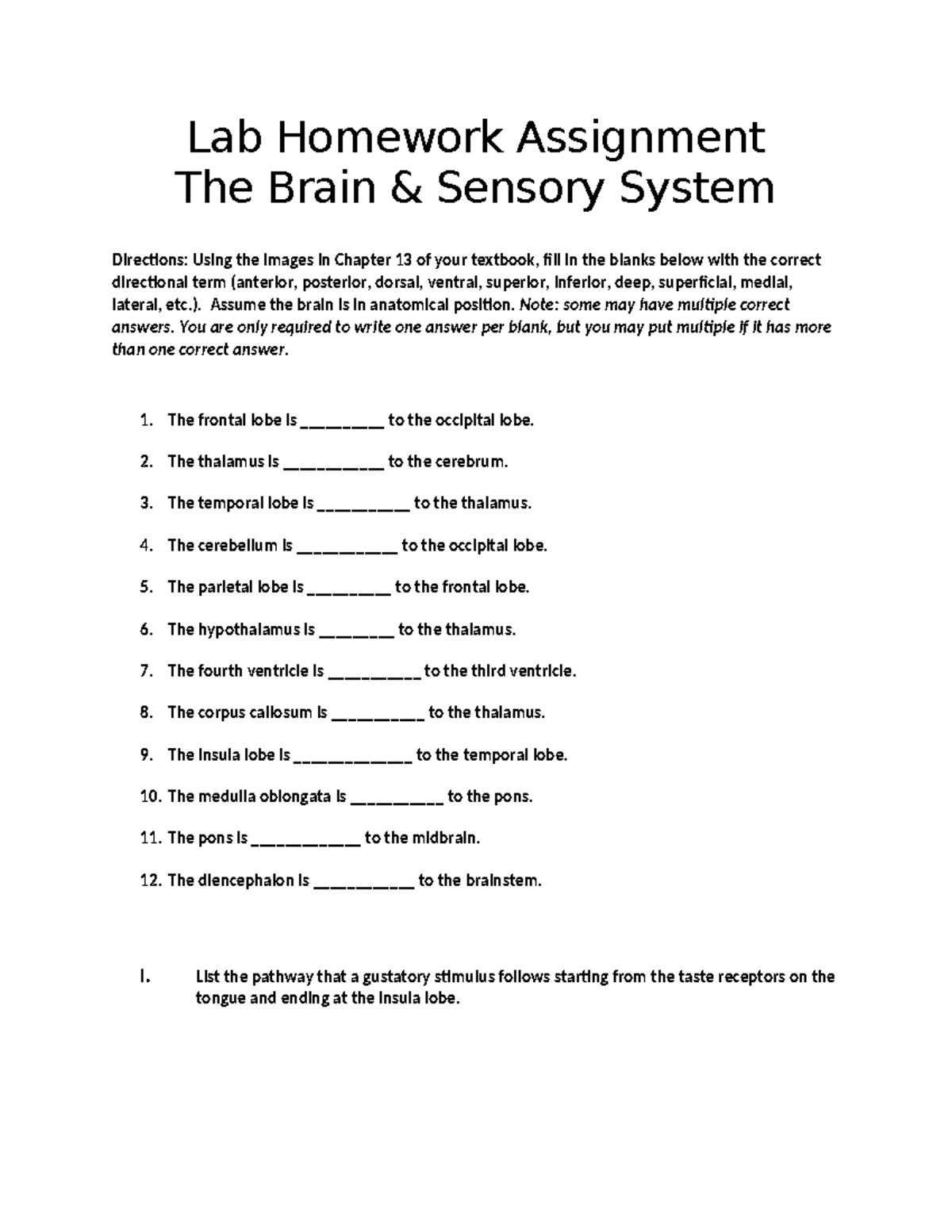 Brain & Sensory System Lab HW 220 - Lab Homework Assignment The Brain ...