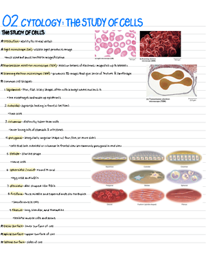 6. Nerve histology and spinal nerve - Handout - Organization of the ...