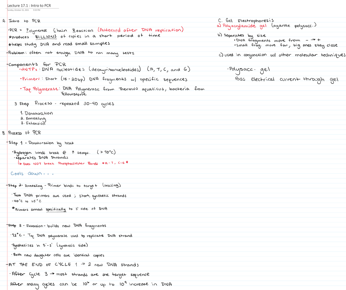 Lecture 17.1 Intro To PCR - BIO 115 - Studocu