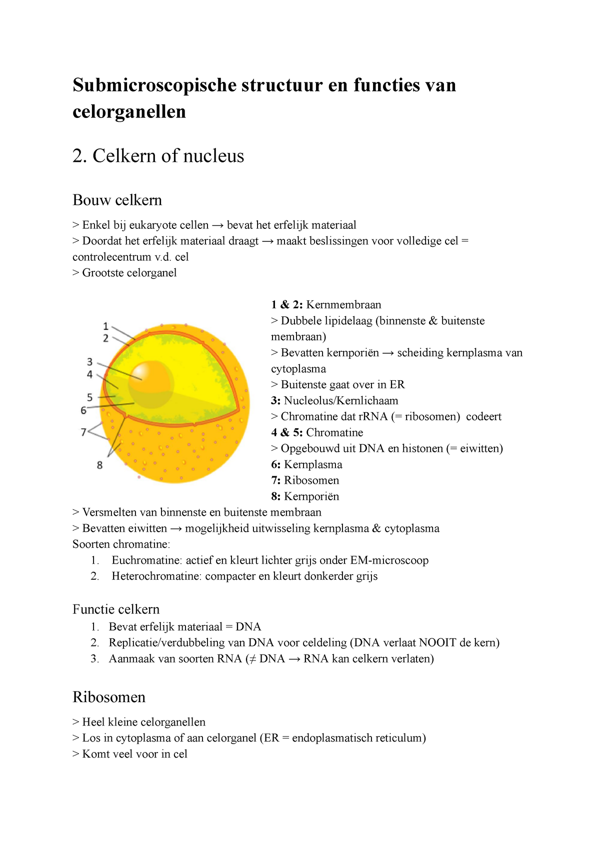 Biologie - Celleer - Submicroscopische structuur en functies van ...