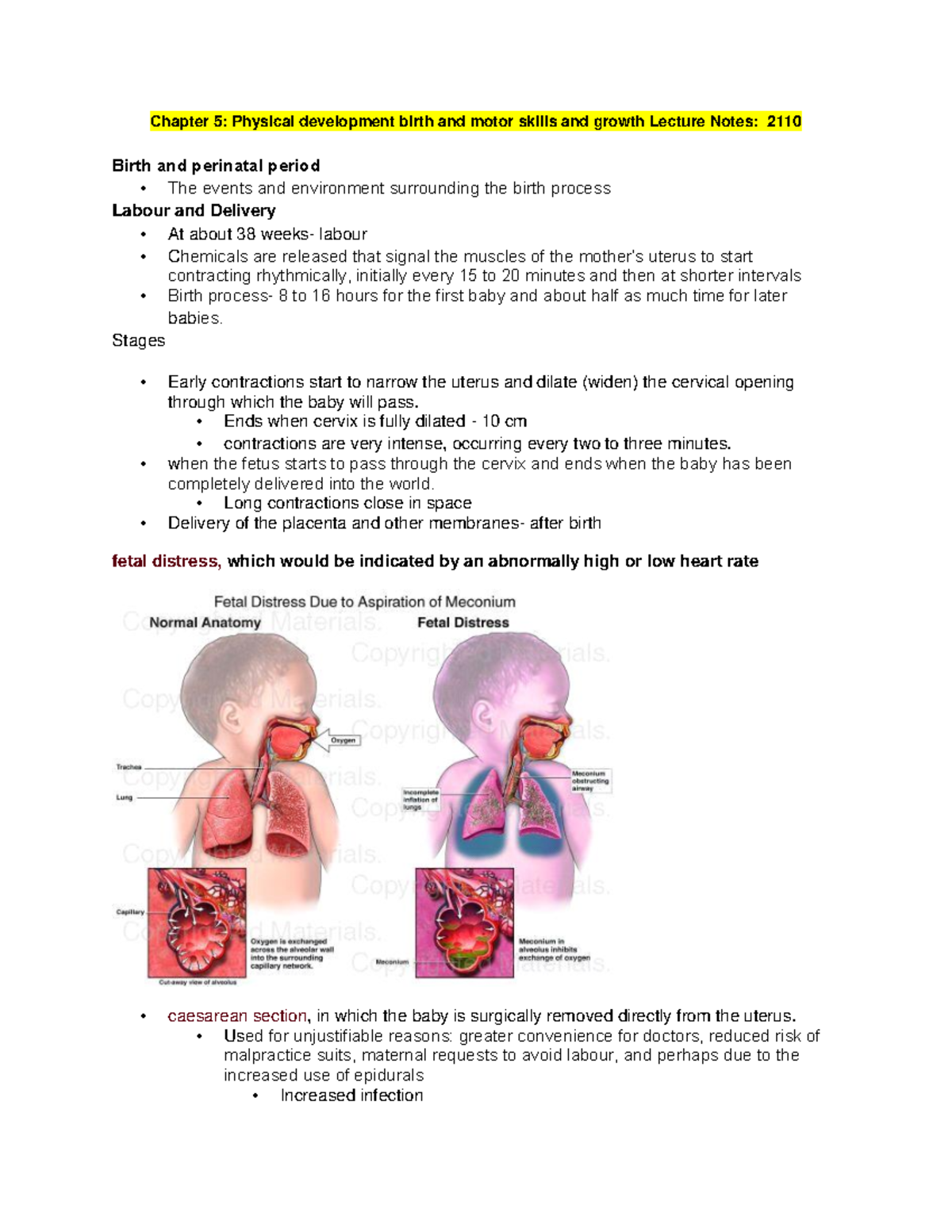 Chapter 5 Physical Development Birth - Lecture Notes - Chapter 5 