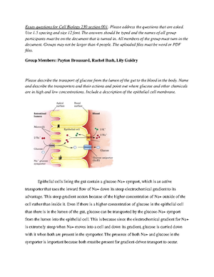 Chapter 04 Protein Structure & Function - Chapter 4: Protein Structure ...