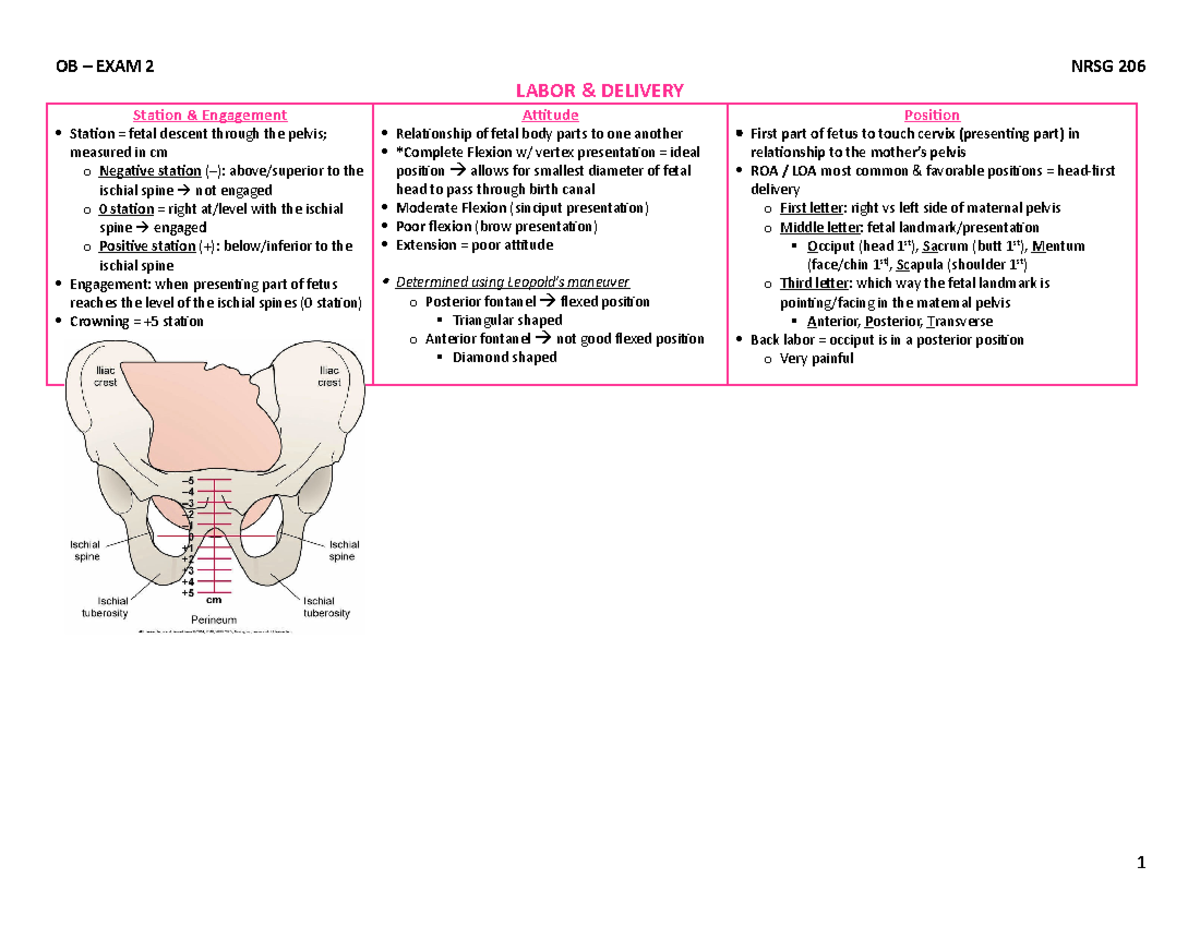 OB exam 2 Study Guide - LABOR & DELIVERY Station & Engagement Station ...