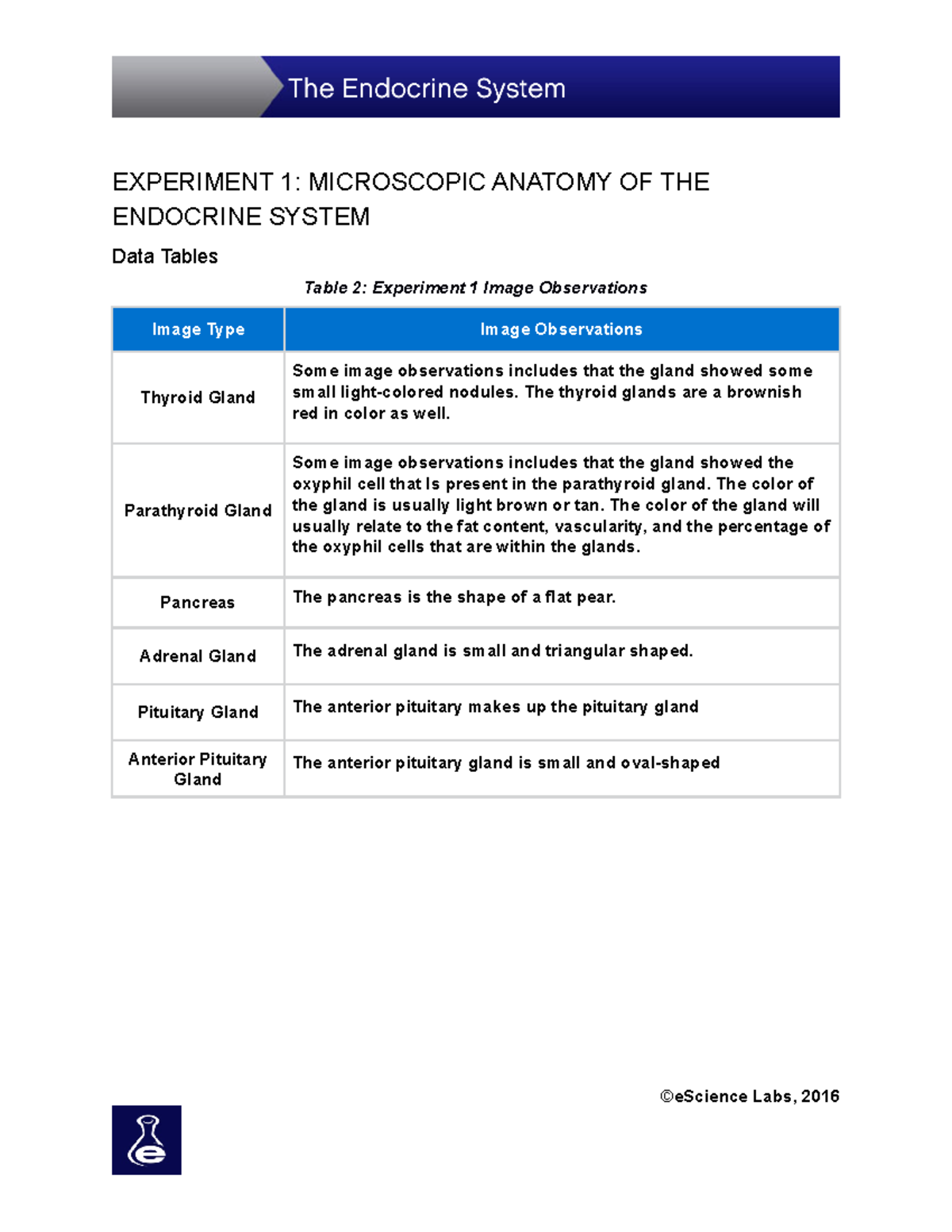 Lab1-Endrocrine-Sp20[1493] - EXPERIMENT 1: MICROSCOPIC ANATOMY OF THE ...