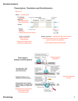 15Pathogenesis - description - Microbial Pathogenesis Pathogen ...