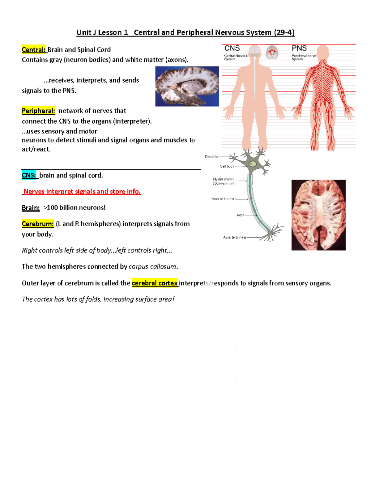Unit+I+Lesson+1+Central+Nervous+System - Van Buren Unit J Lesson 1 ...