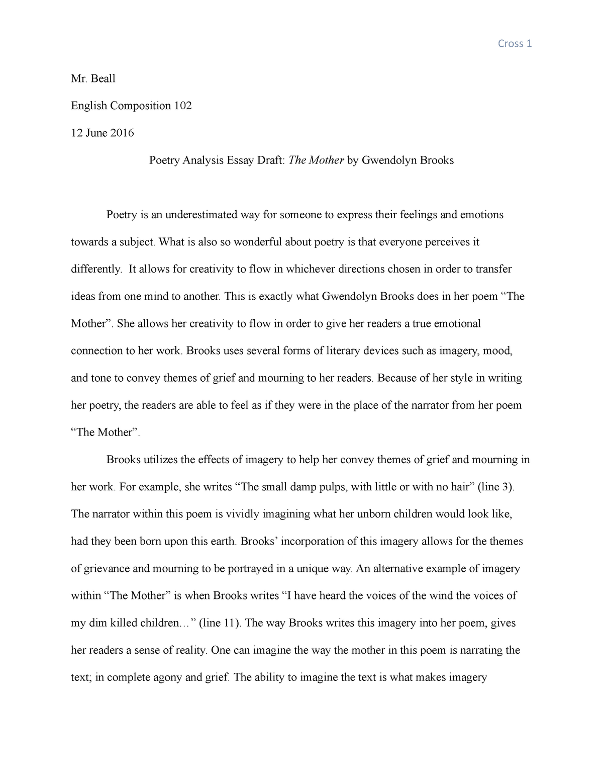 essay about poetry analysis