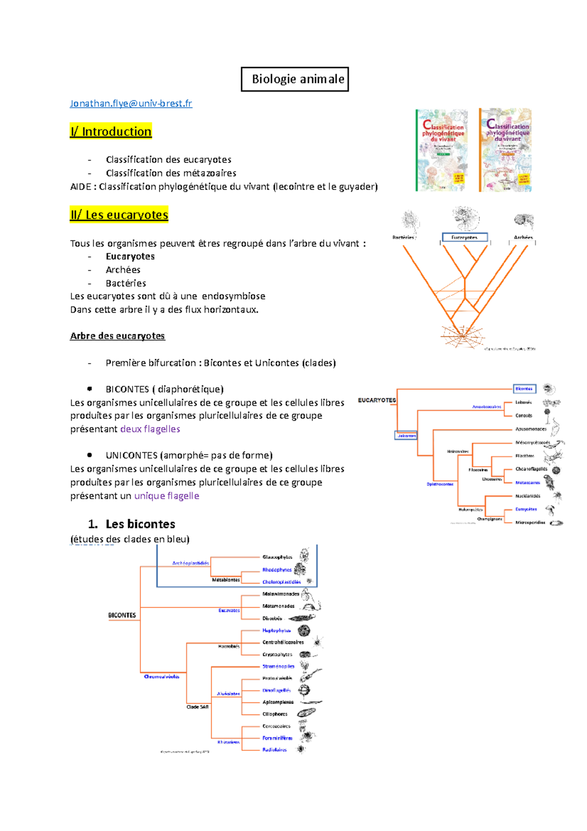 Chapitre 1 - Cours De L1 De Chimie - Biologie Animale Jonathan@univ ...