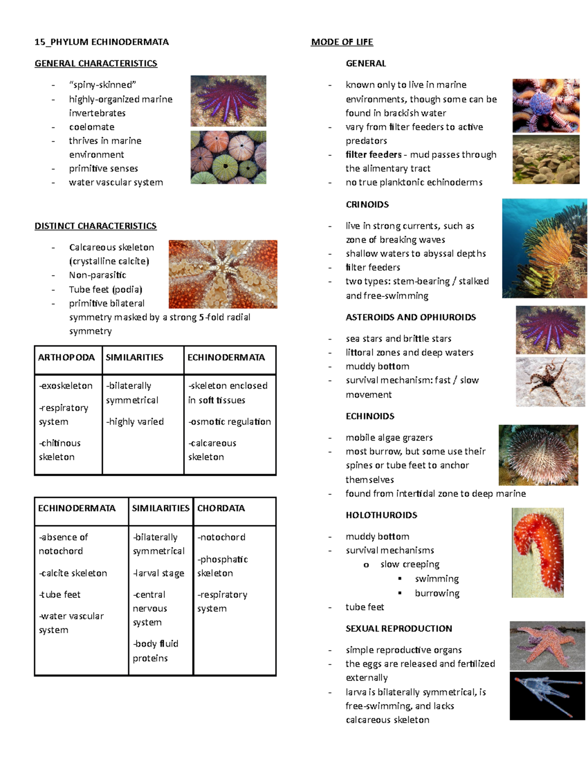 Phylum Echinodermata - 15_PHYLUM ECHINODERMATA GENERAL CHARACTERISTICS ...