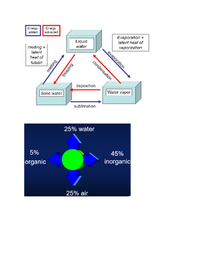Lab 5 assignment - Lab 5 - Lab 5 assignment (20 points) The food web ...