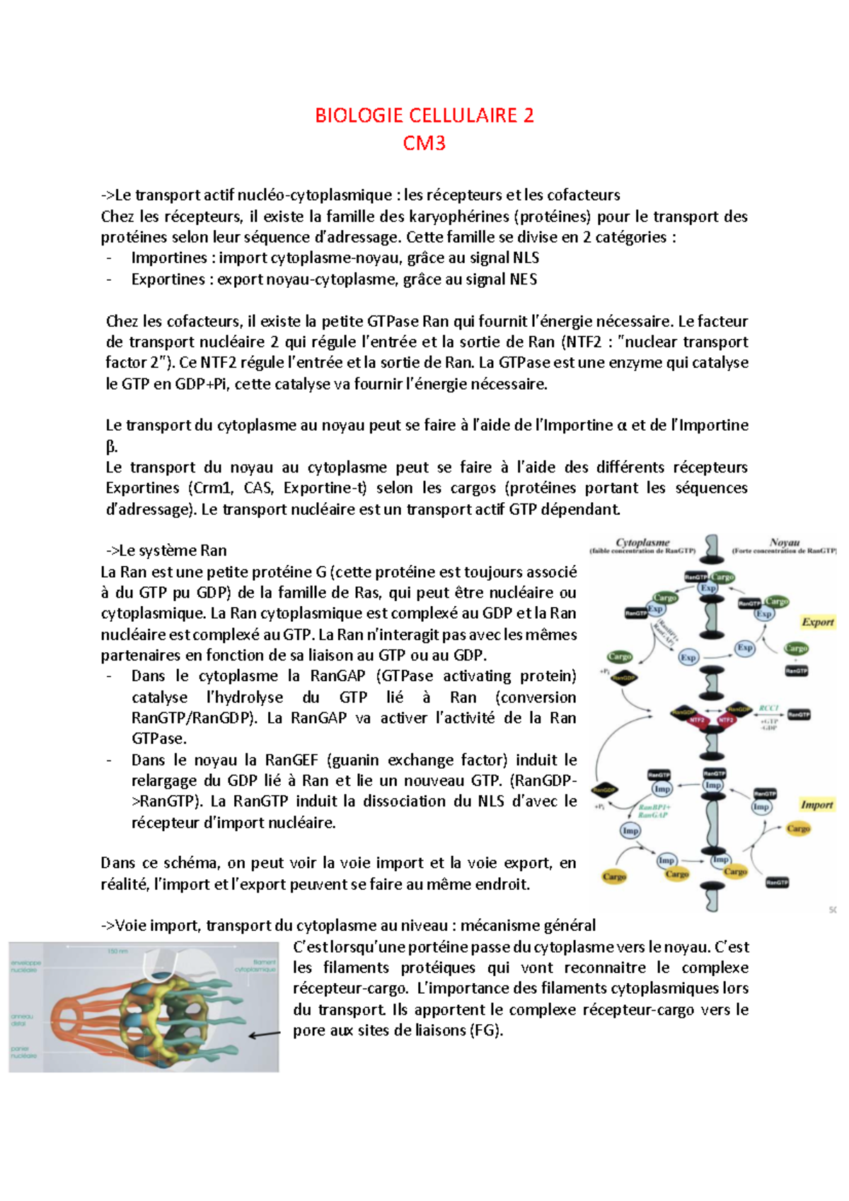 Biologie Cellulaire 2 CM3 - BIOLOGIE CELLULAIRE 2 CM ->Le Transport ...