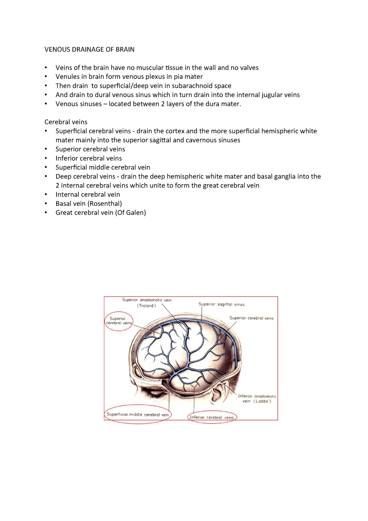 Venous Drainage Of Brain Medicine Med Mb S Qub Studocu