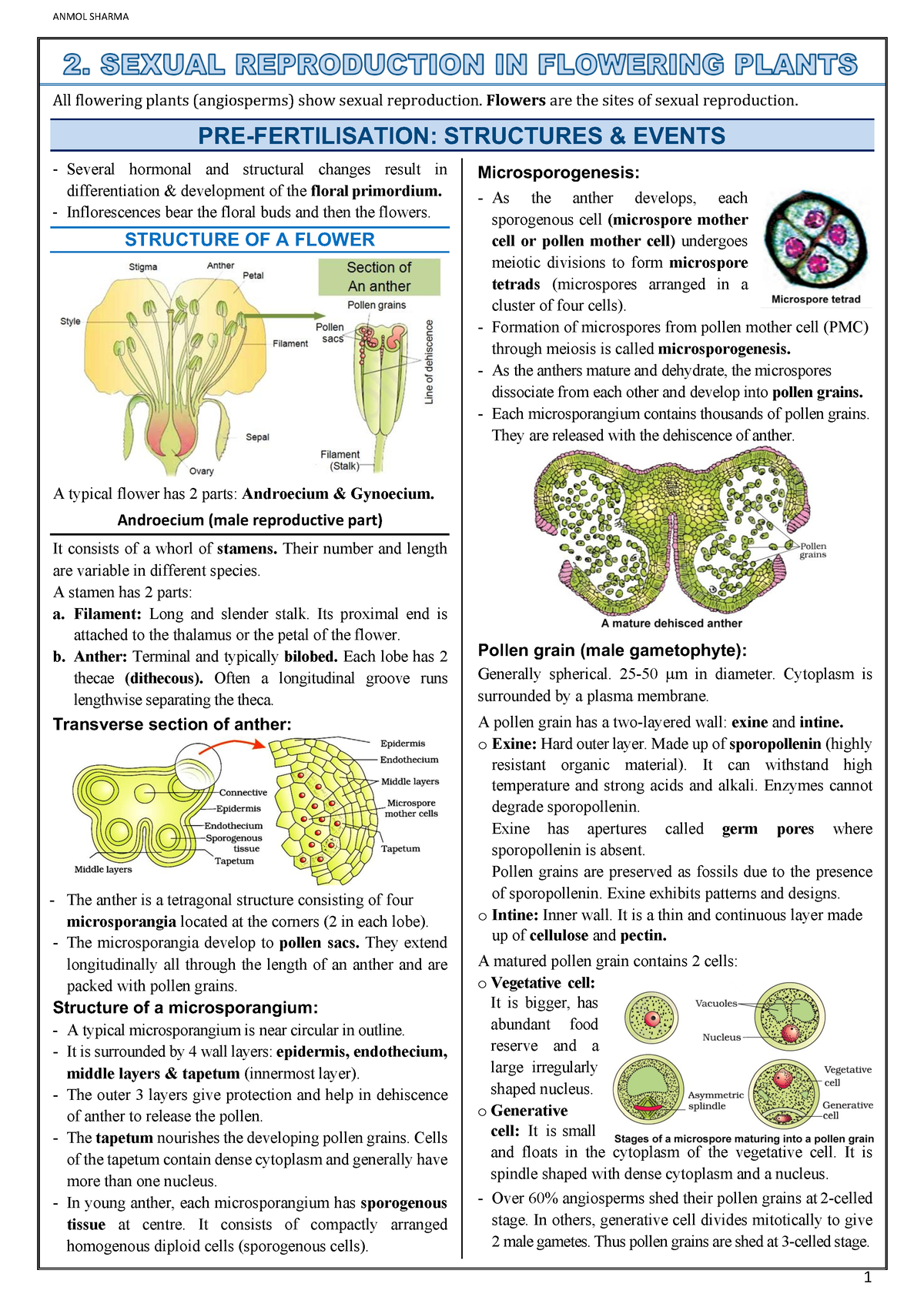 Sexual Reproduction In Flowering Plants -notes - Science - Studocu