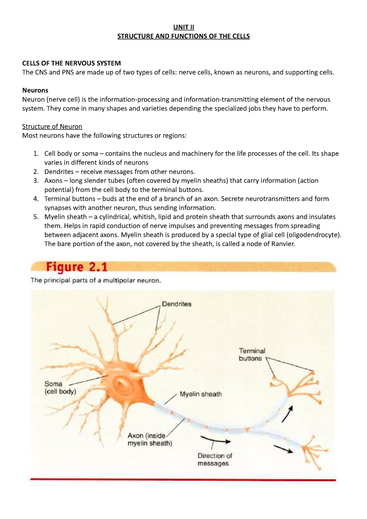 UNIT 2 - Structure AND Functions OF THE Cells - UNIT II STRUCTURE AND ...