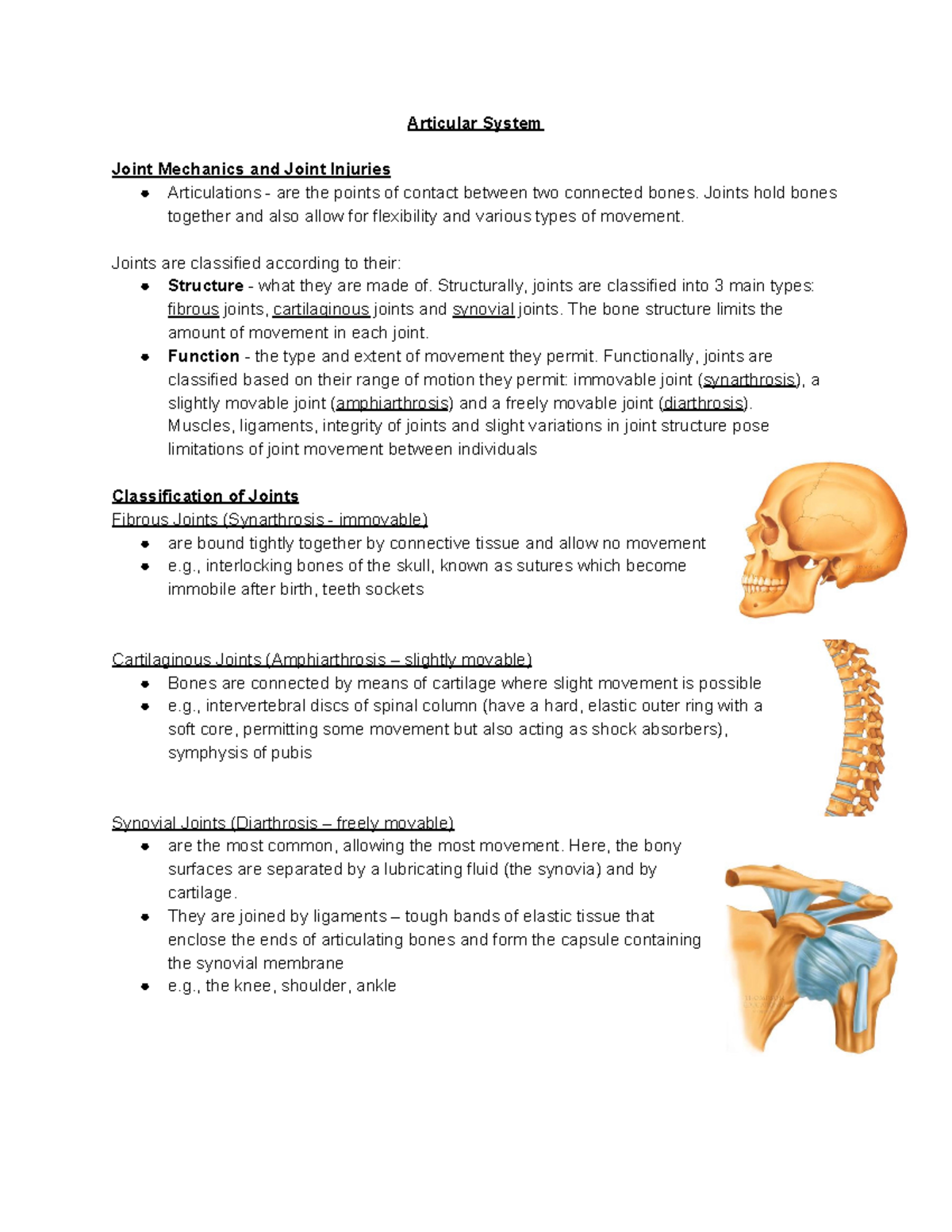 Unit 3 Notes - The Articular System - Articular System Joint Mechanics ...