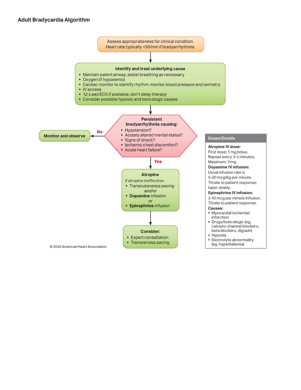 Algorithm ACLS Bradycardia 2006 12 - Yes No Doses/Details Atropine IV ...