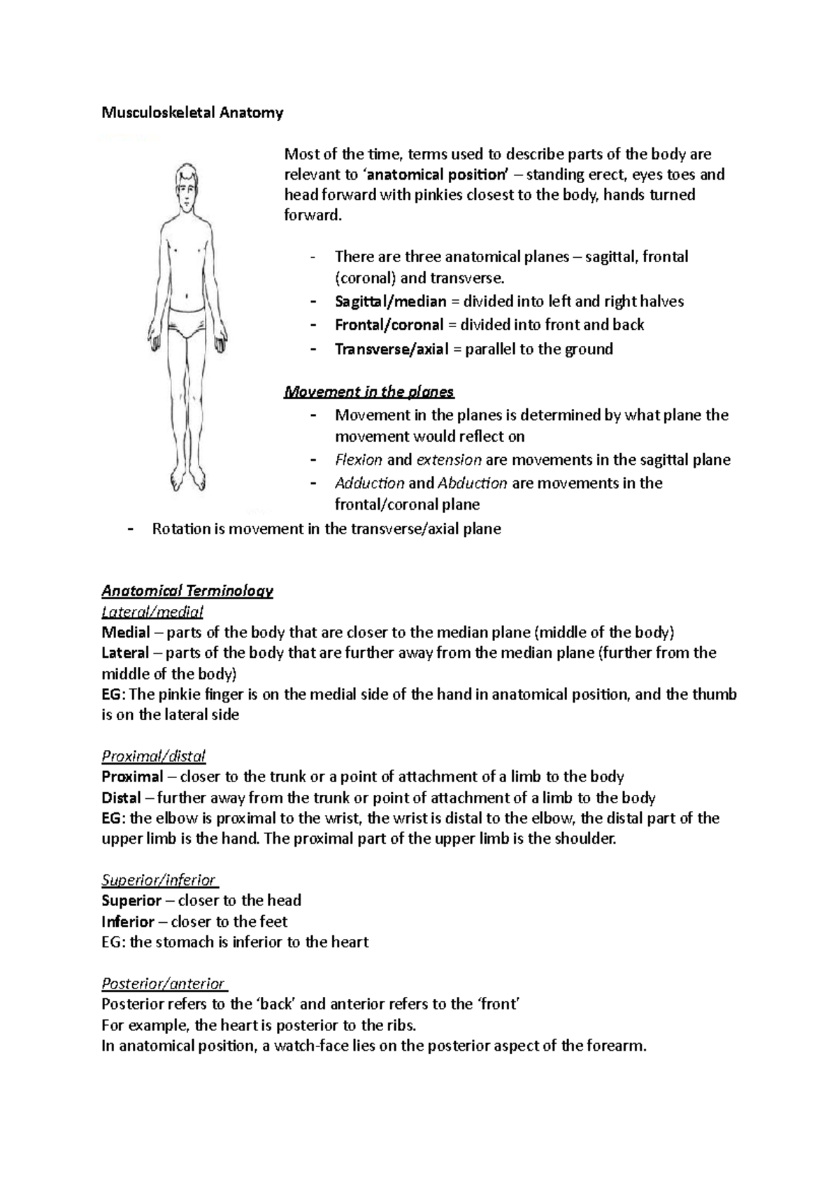 Muscoskeletal Anatomy whole course notes - Musculoskeletal Anatomy Most ...