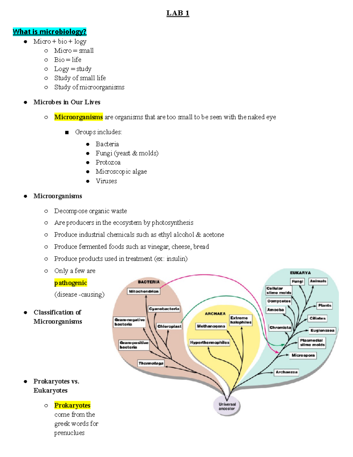 LAB Practicum 1 notes LAB 1 What is microbiology? Micro + bio + logy Micro = small Bio = Studocu