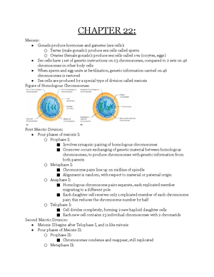 Human A &P II Notes Chapter 14 - CHAPTER 14: Characteristics of Blood ...