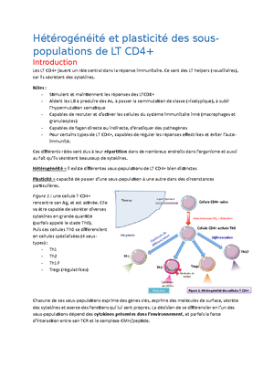 Biologie Cellulaire - Etude Des Gènes Impliqués Dans Le Contrôle Du ...