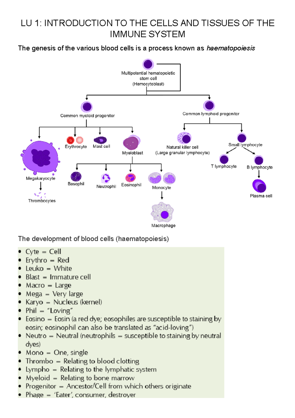 LU1 - Cells and tissues of the immune system - LU 1: INTRODUCTION TO ...