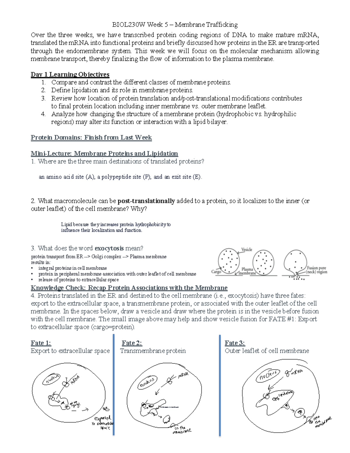 Week+5+Student - Weekly Lecture Note Slides - Over the three weeks, we ...