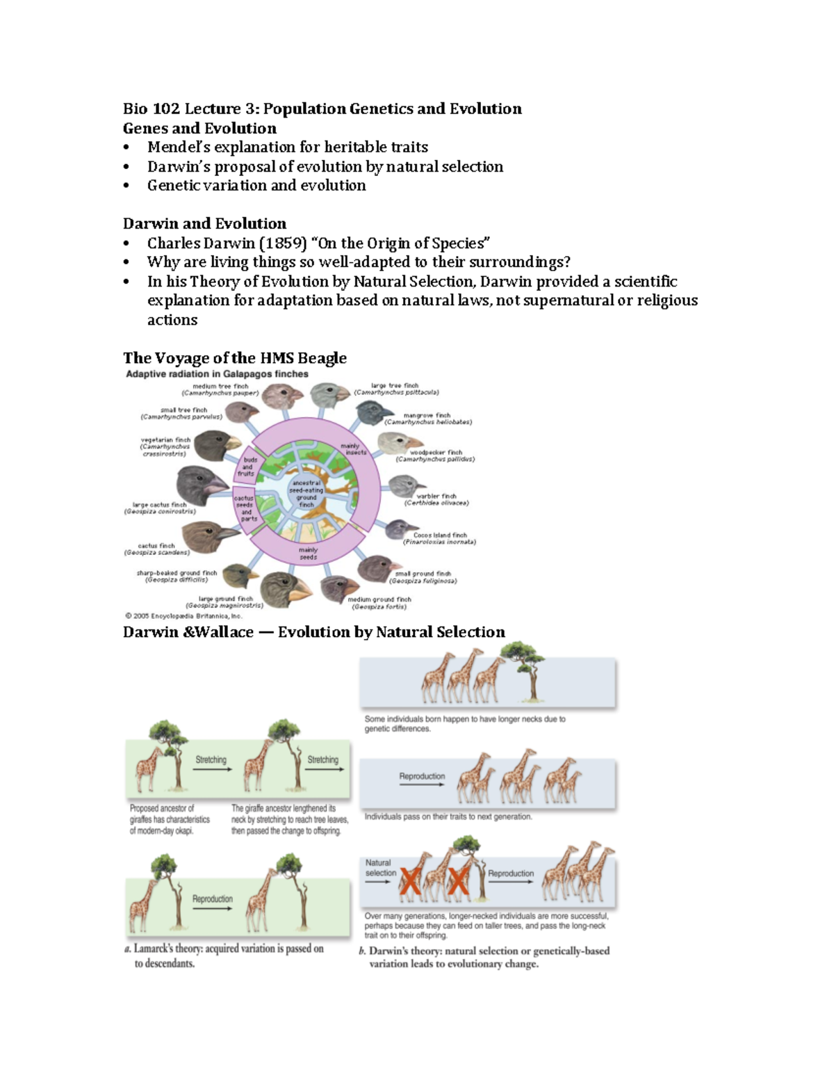 Lecture+3+notes - Class Lecture notes - Bio 102 Lecture 3: Population ...