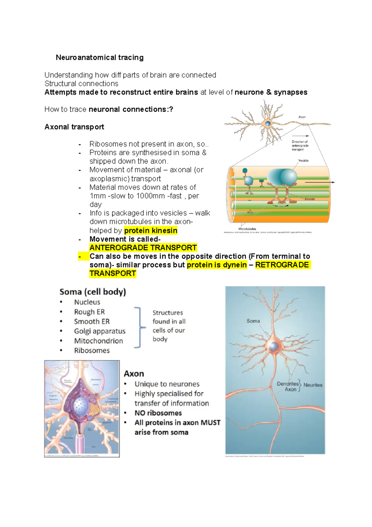 Neuroanatomical tracing - Neuroanatomical tracing Understanding how ...