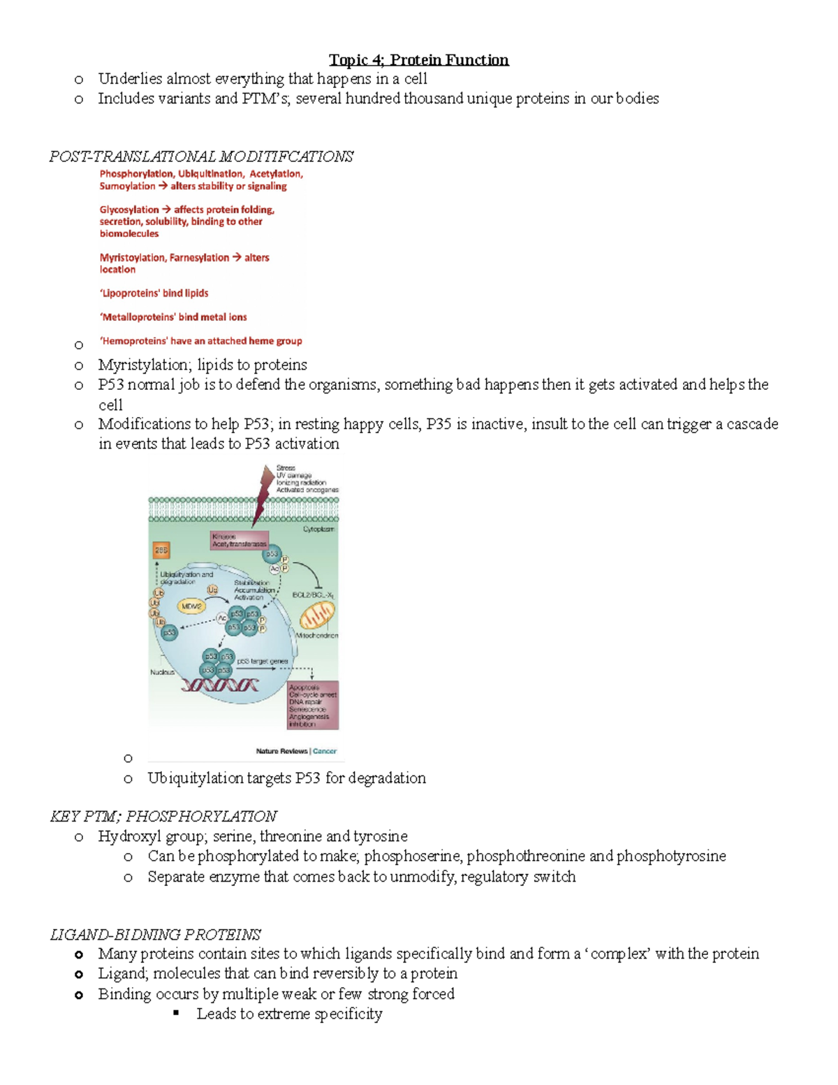 Lecture 4 - Protein Function - Topic 4; Protein Function o Underlies ...