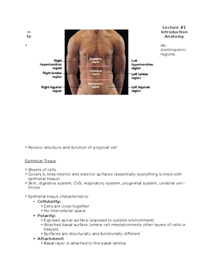 KINE 1P90 Midterm Review Notes - StuDocu