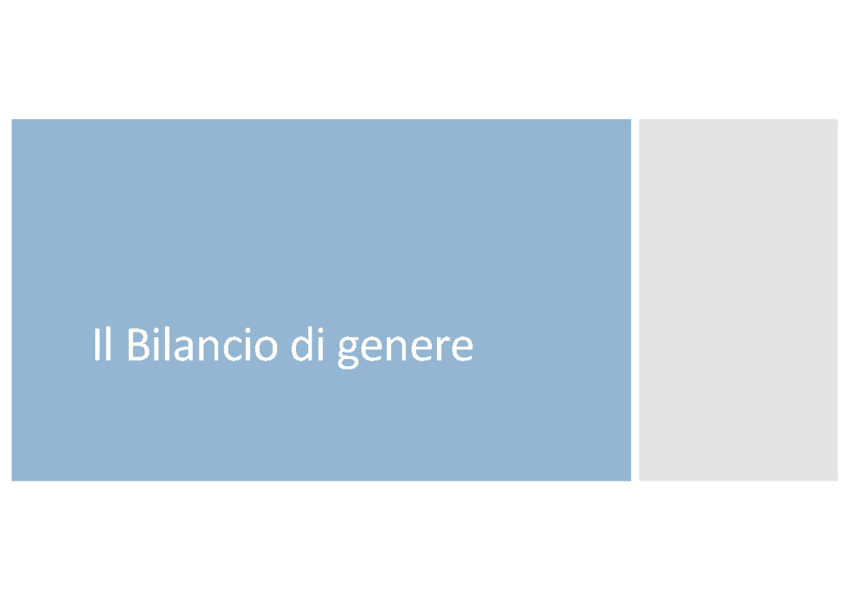 IL Bilancio DI Genere nelle aziende anno2020/2021 Il Bilancio di