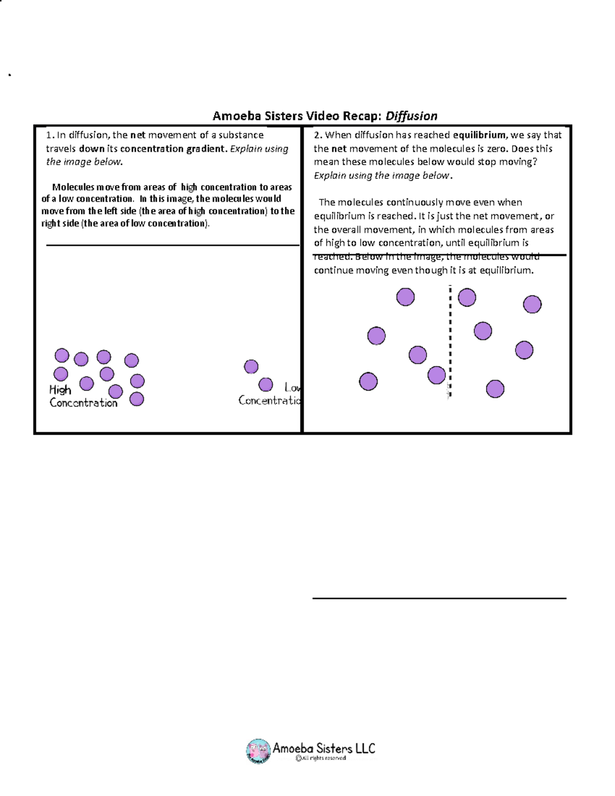 diffusion biology Amoeba Sisters Video Recap Diffusion 1. In diffusion, the net movement of a