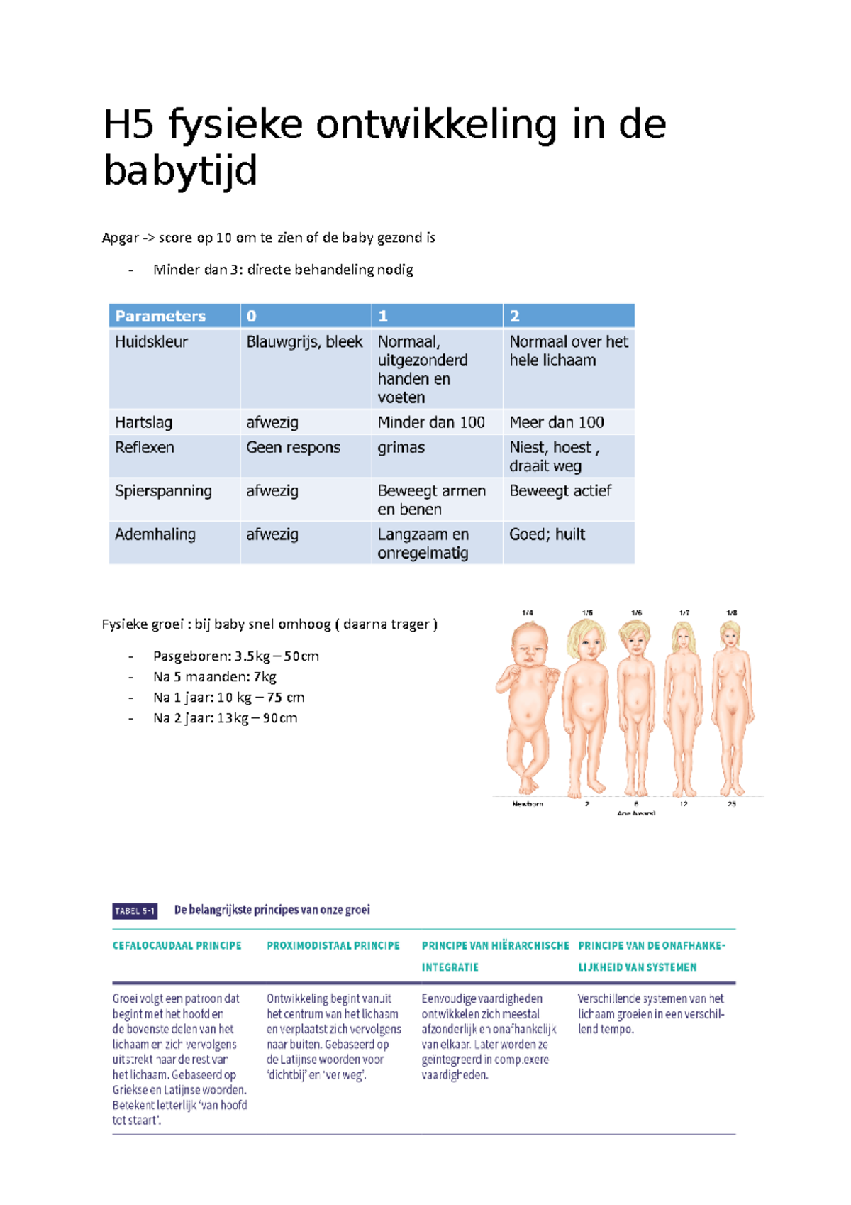 H5 - Opleiding Orthopedagogie - H5 Fysieke Ontwikkeling In De Babytijd ...