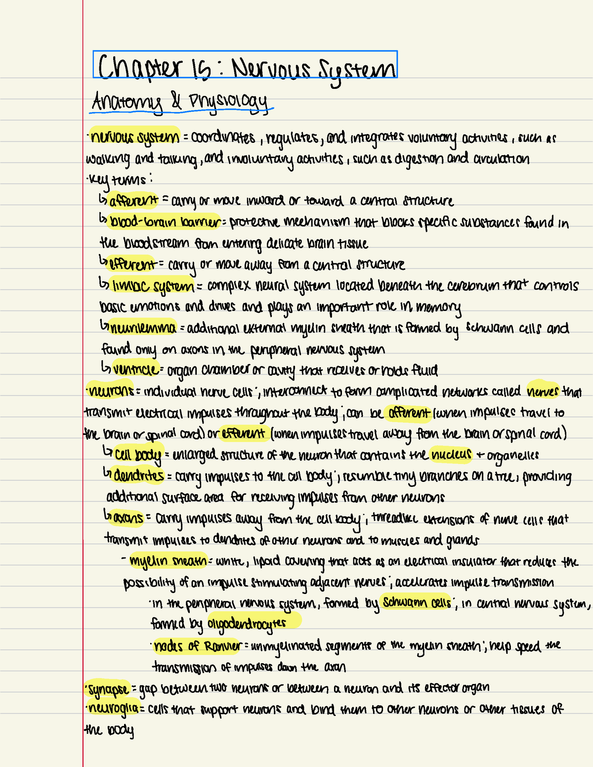 medical terminology chapter 15 assignment