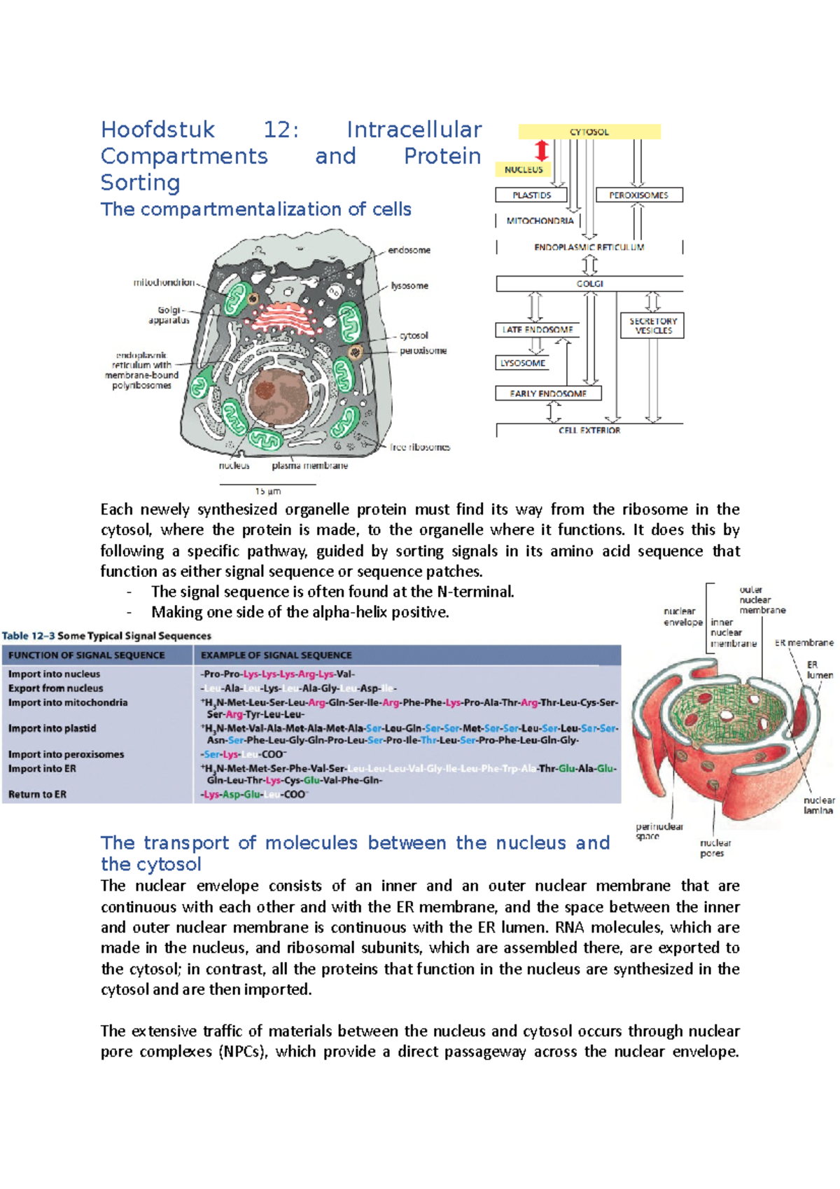 Hoofdstuk 12 - Hoofdstuk 12: Intracellular Compartments And Protein ...