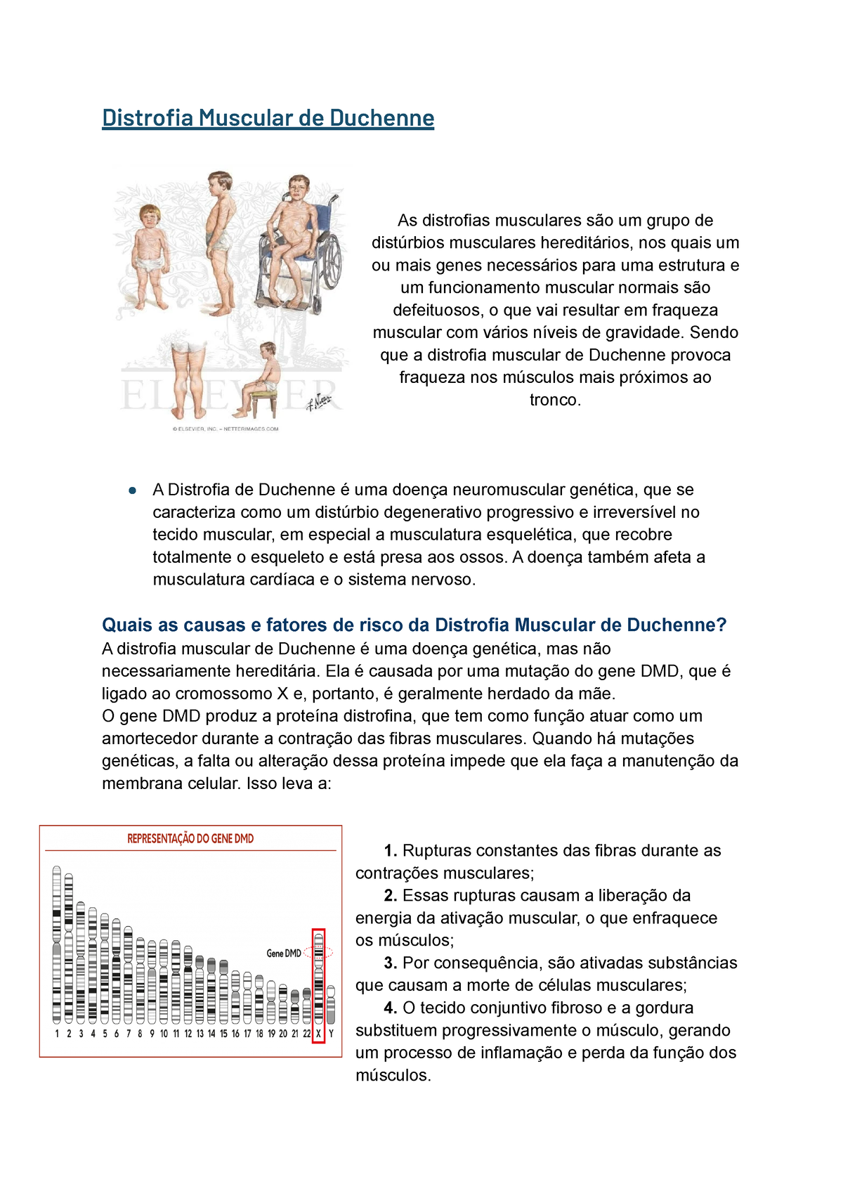 Trabalho De Biologia Distrofia Muscular De Duchenne As Distrofias Musculares São Um Grupo De 0529