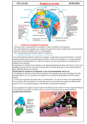 Les Antalgiques - Notes De Cours 2.11 - Les Antalgiques Antalgiques ...