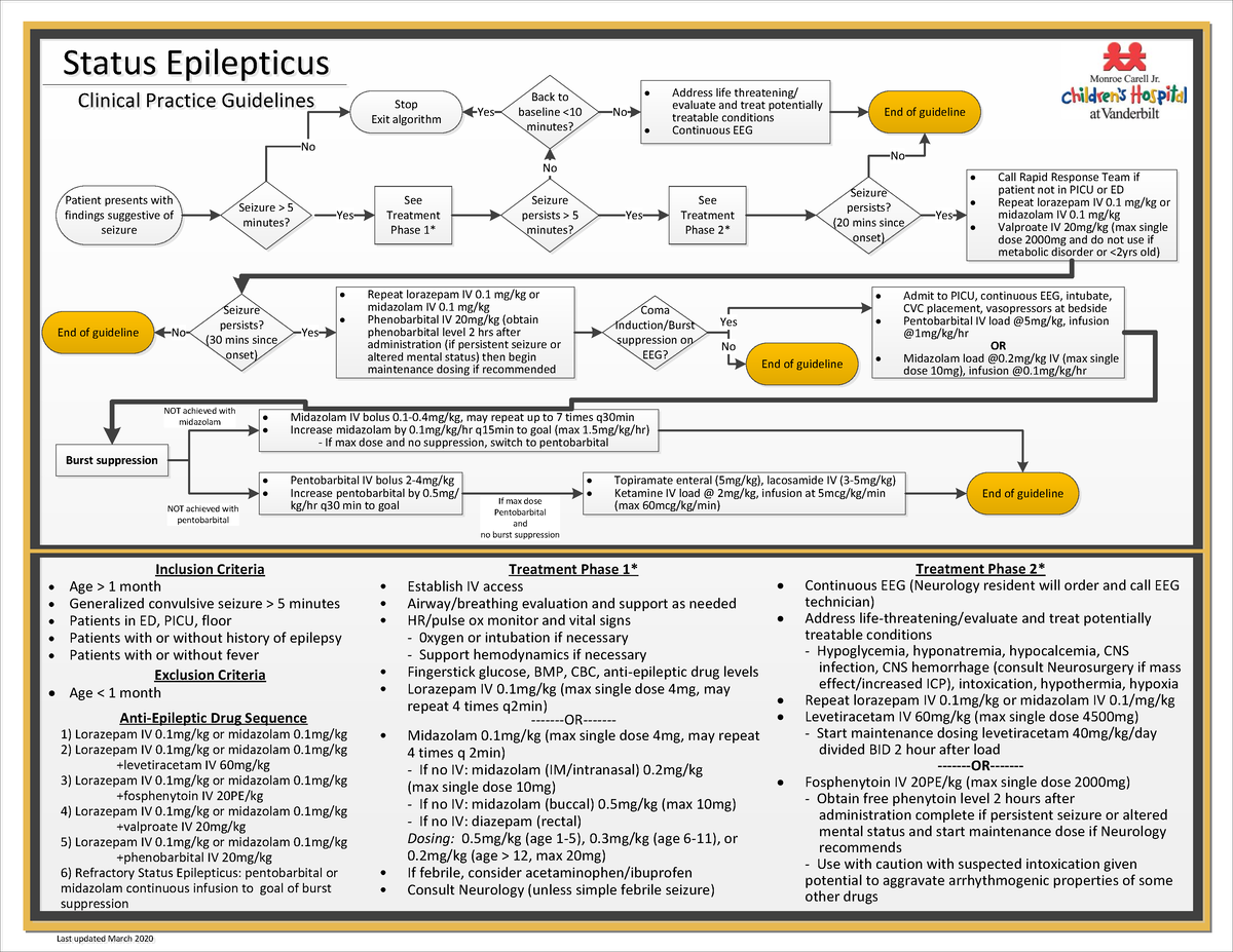 CPG Status Epilepticus 102021 - Status Epilepticus Clinical Practice ...