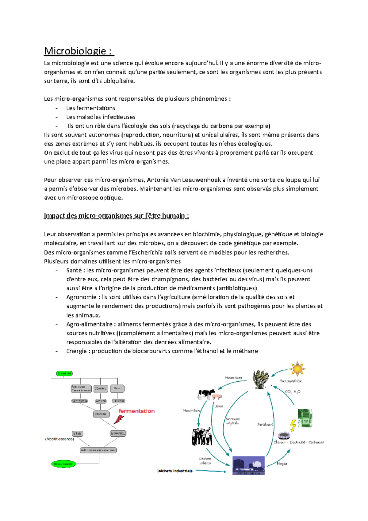 Microbiologie Note De Cours - Microbiologie : La Microbiologie Est Une ...