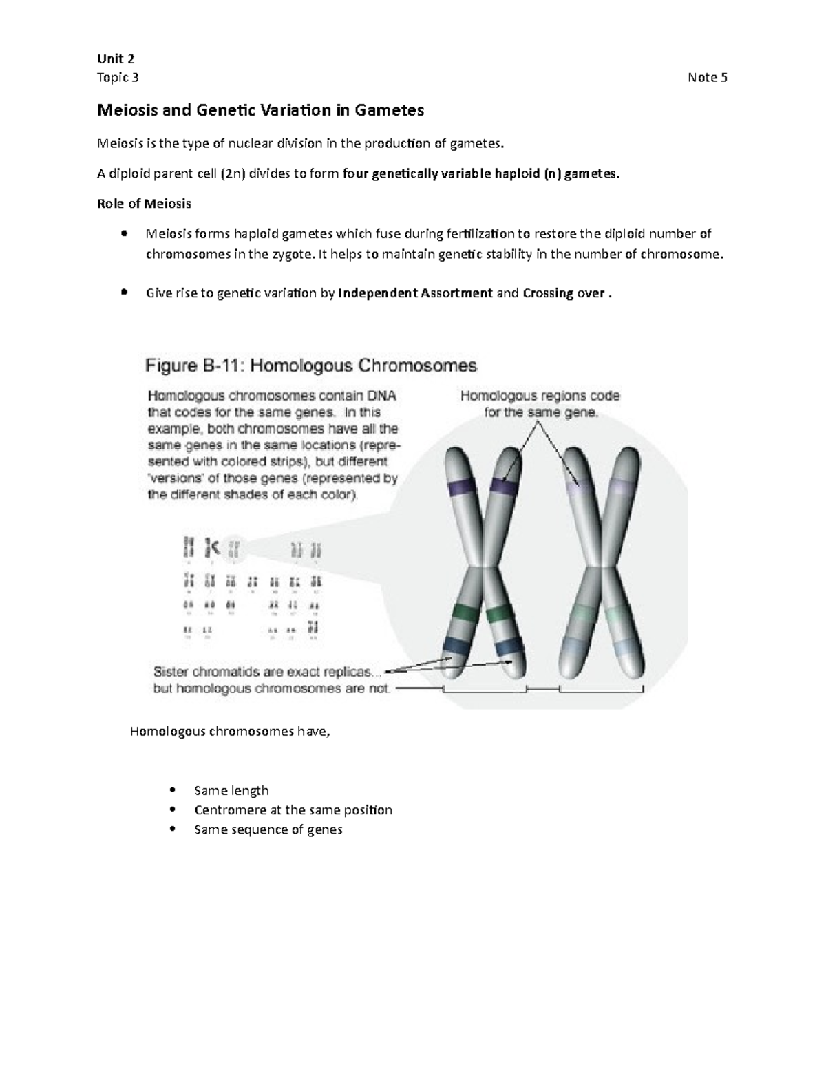 Note 5 Meiosis and Genetic Variation in Gametes - A diploid parent cell ...