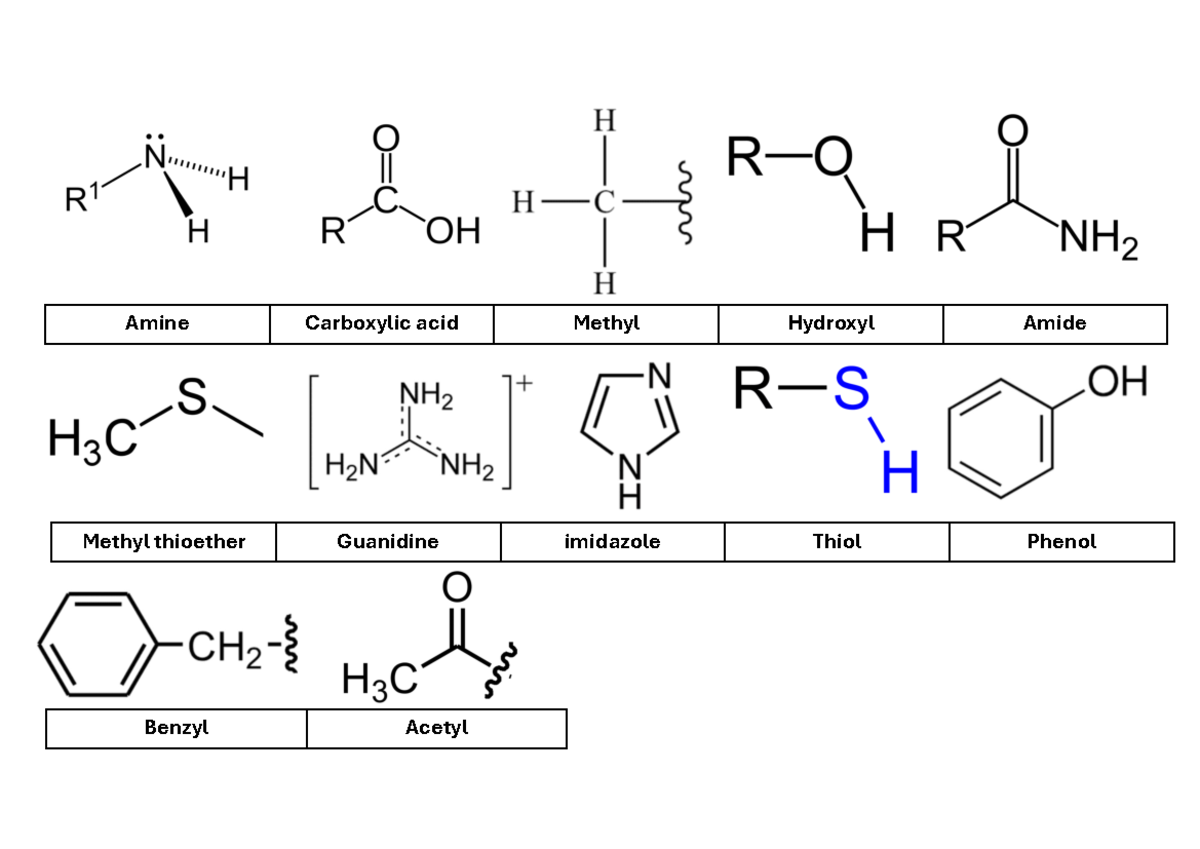 M3 Drawing - 2008MSC - Amine Carboxylic acid Methyl Hydroxyl Amide ...