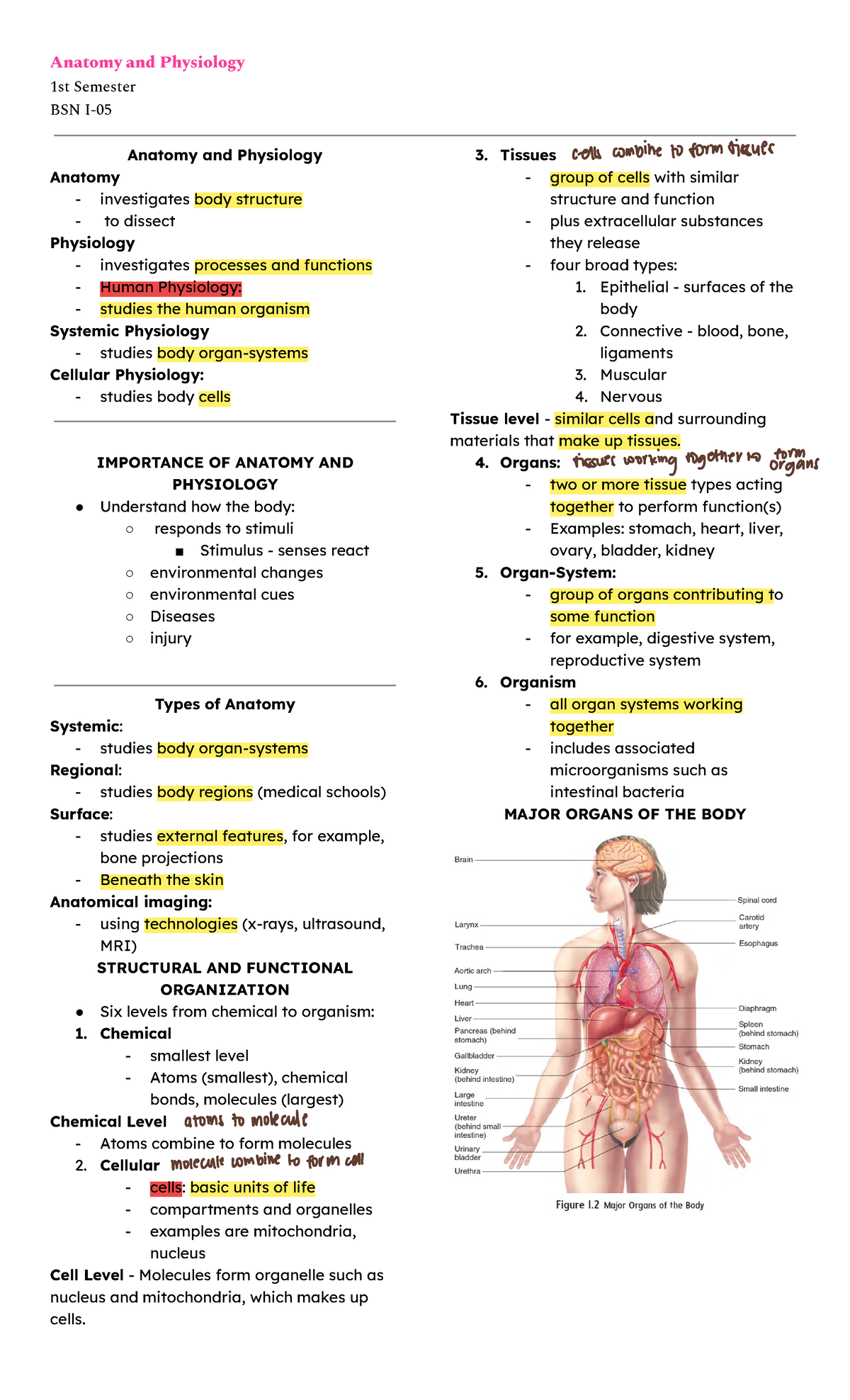 Anaphy CH1 to CH2 - Short notes - 1st Semester BSN I- Anatomy and ...